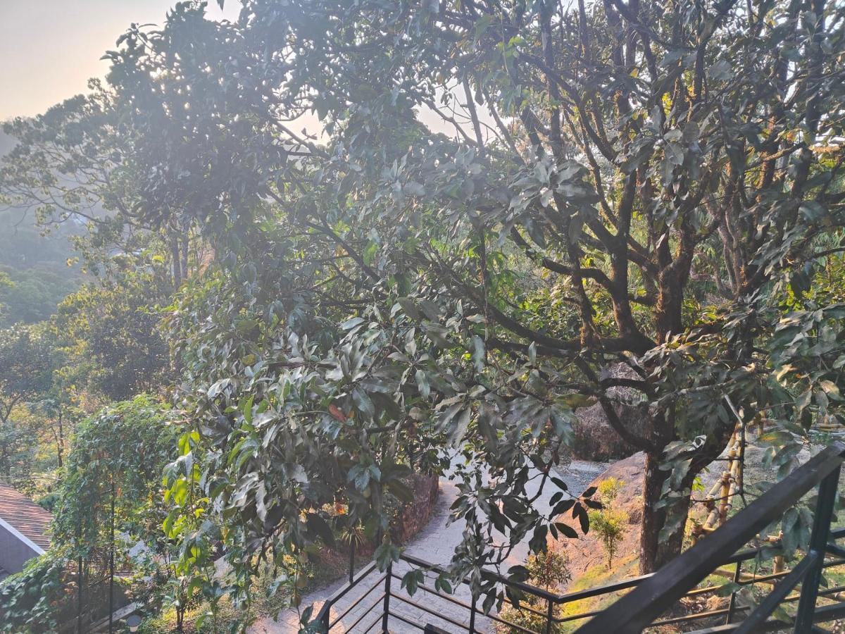 The Wild Trails Clarks Exotica , Munnar Hotel Eksteriør billede